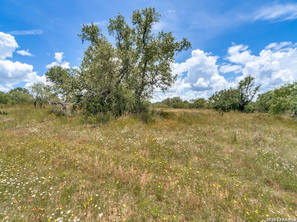 79.35 acres in Mason Co County - photo 11
