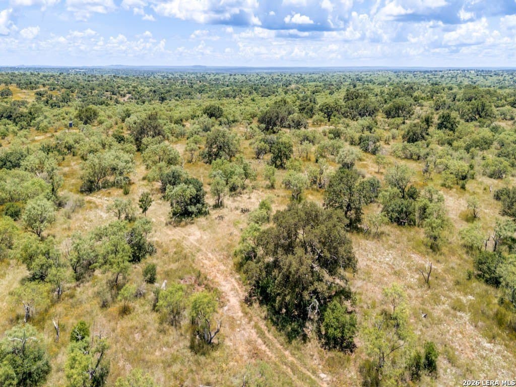 79.35 acres in Mason Co County - photo 16