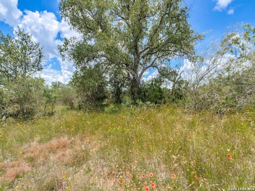 79.35 acres in Mason Co County - photo 9