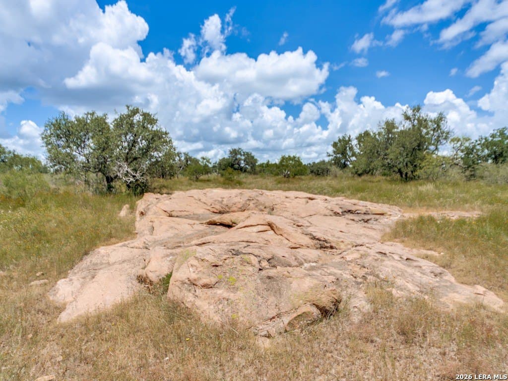 79.35 acres in Mason Co County - photo 10