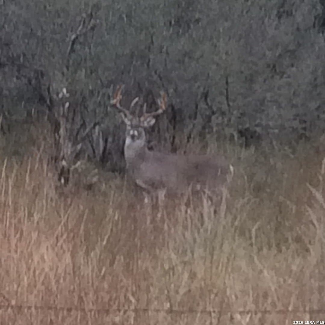79.35 acres in Mason Co County - photo 19