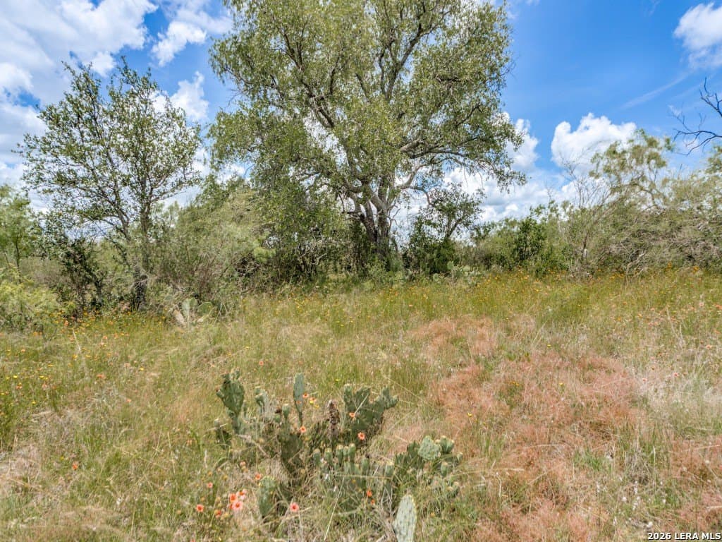 79.35 acres in Mason Co County - photo 8