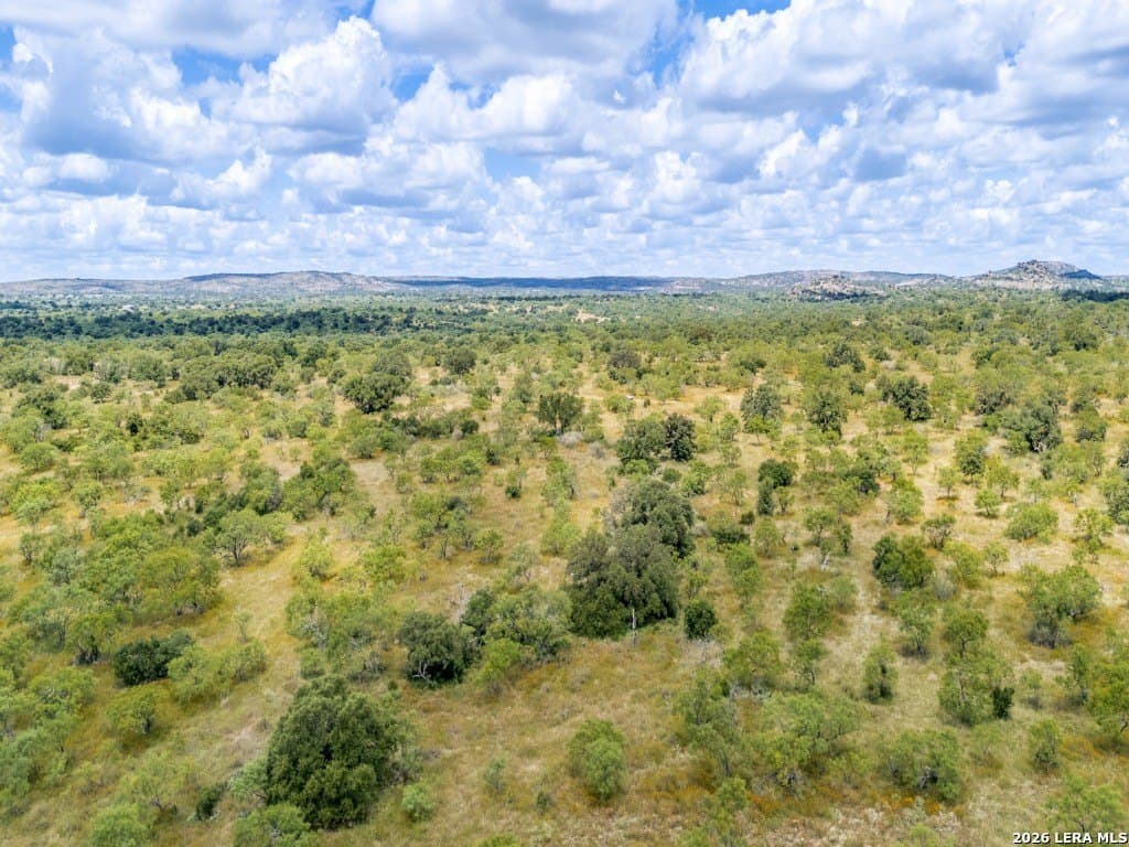 79.35 acres in Mason Co County - photo 13