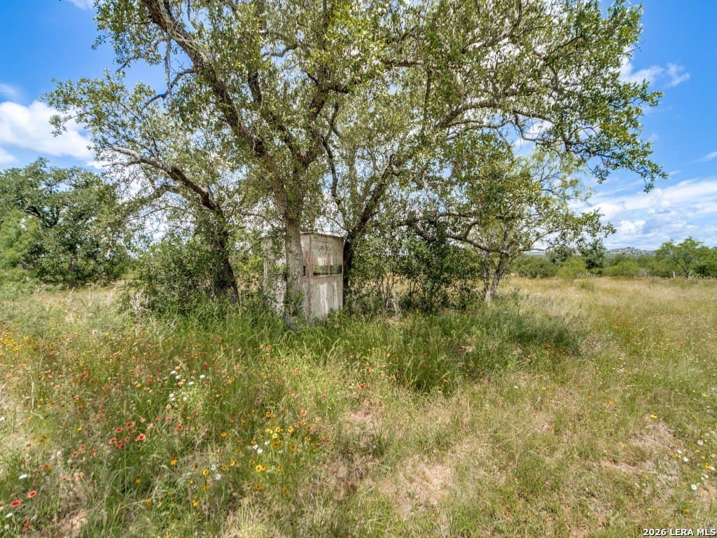 79.35 acres in Mason Co County - photo 2