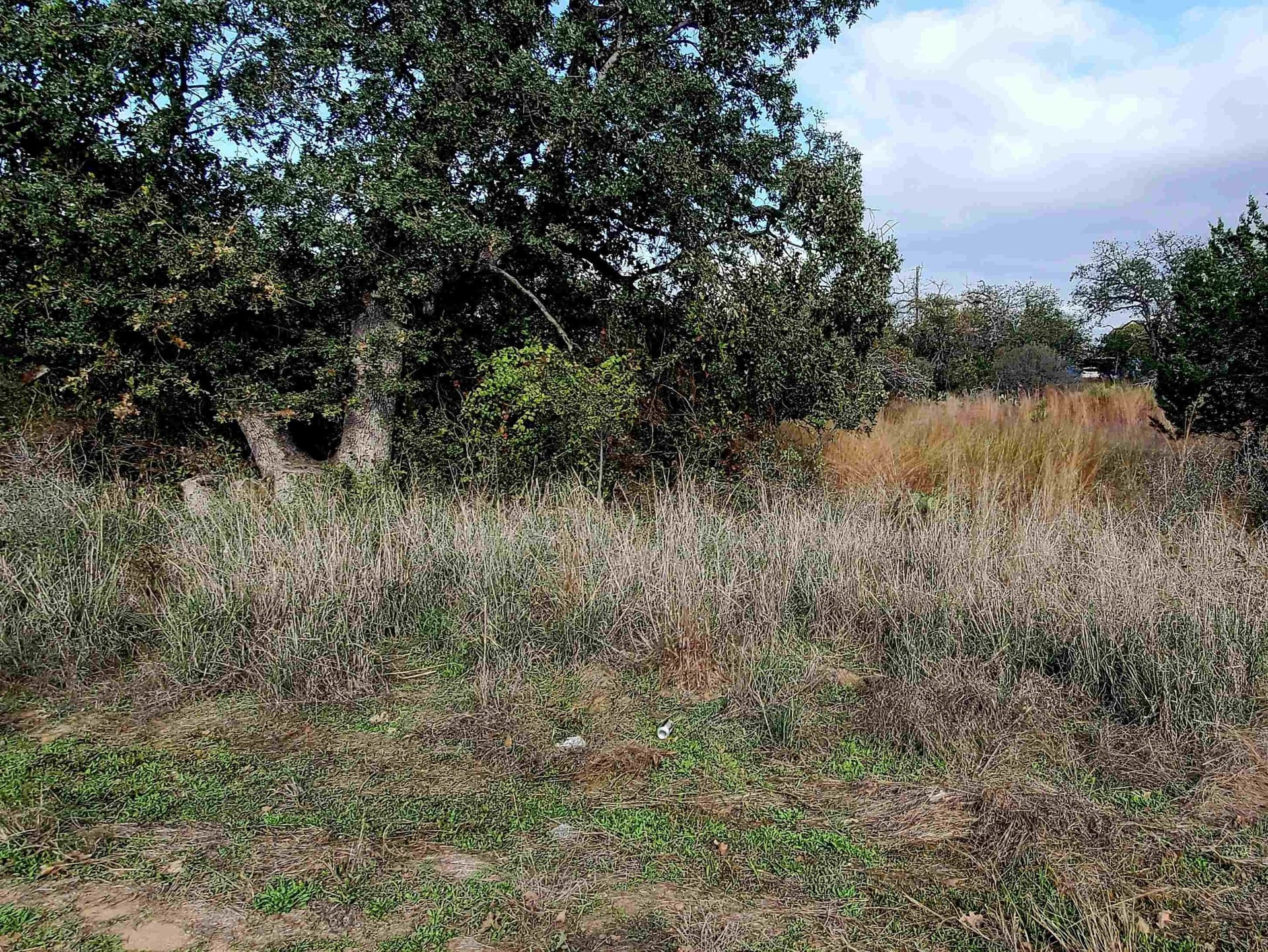0.27 acres in Llano County gallery image 4