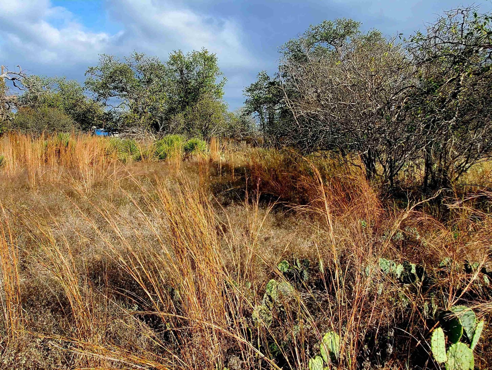 0.27 acres in Llano County gallery image 2