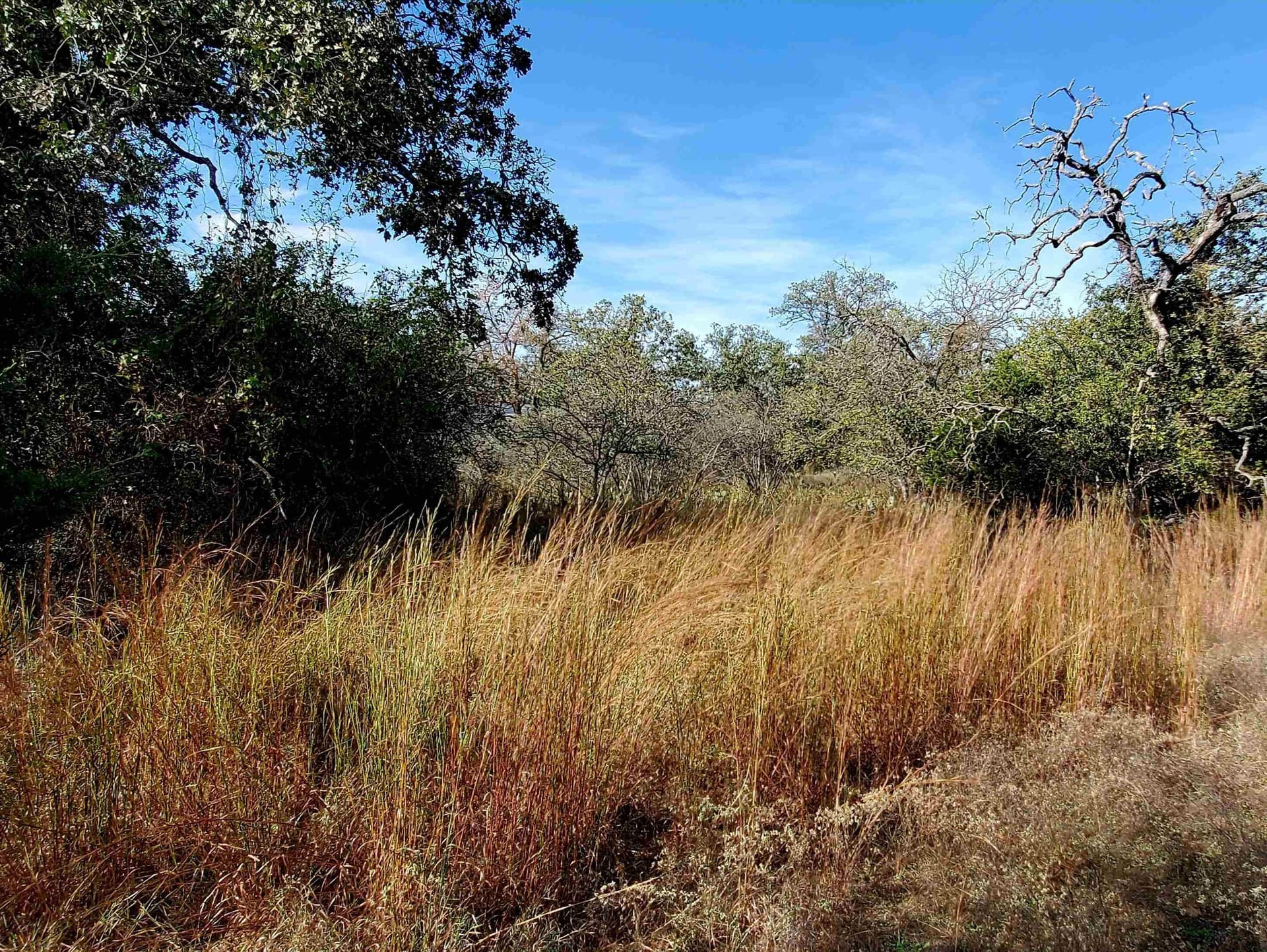0.27 acres in Llano County