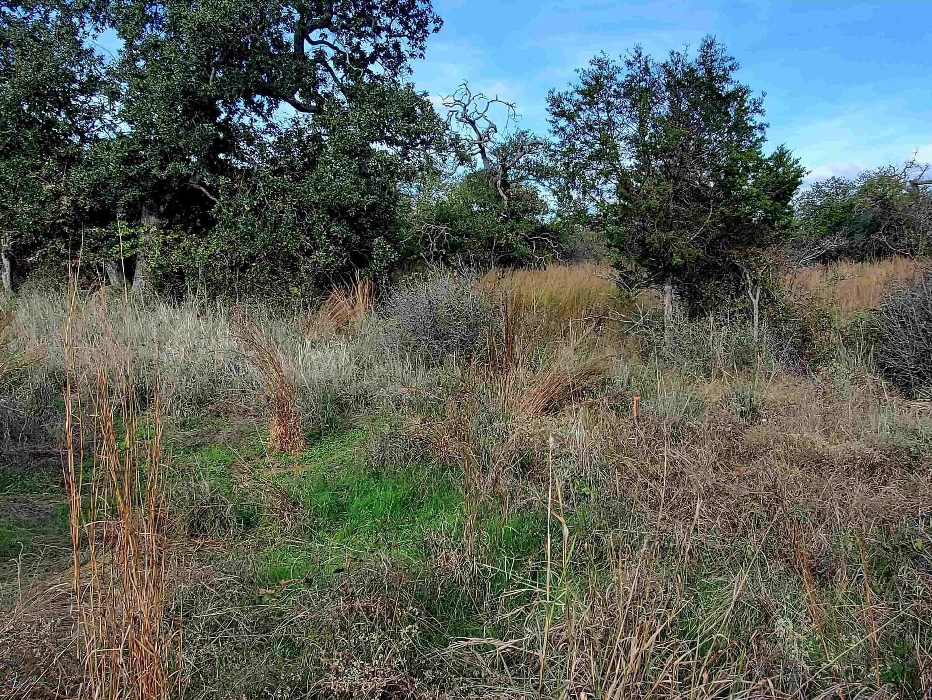0.27 acres in Llano County - photo 6
