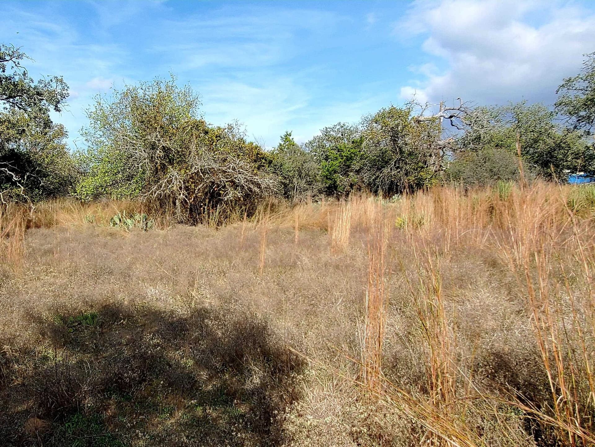 0.27 acres in Llano County gallery image 3
