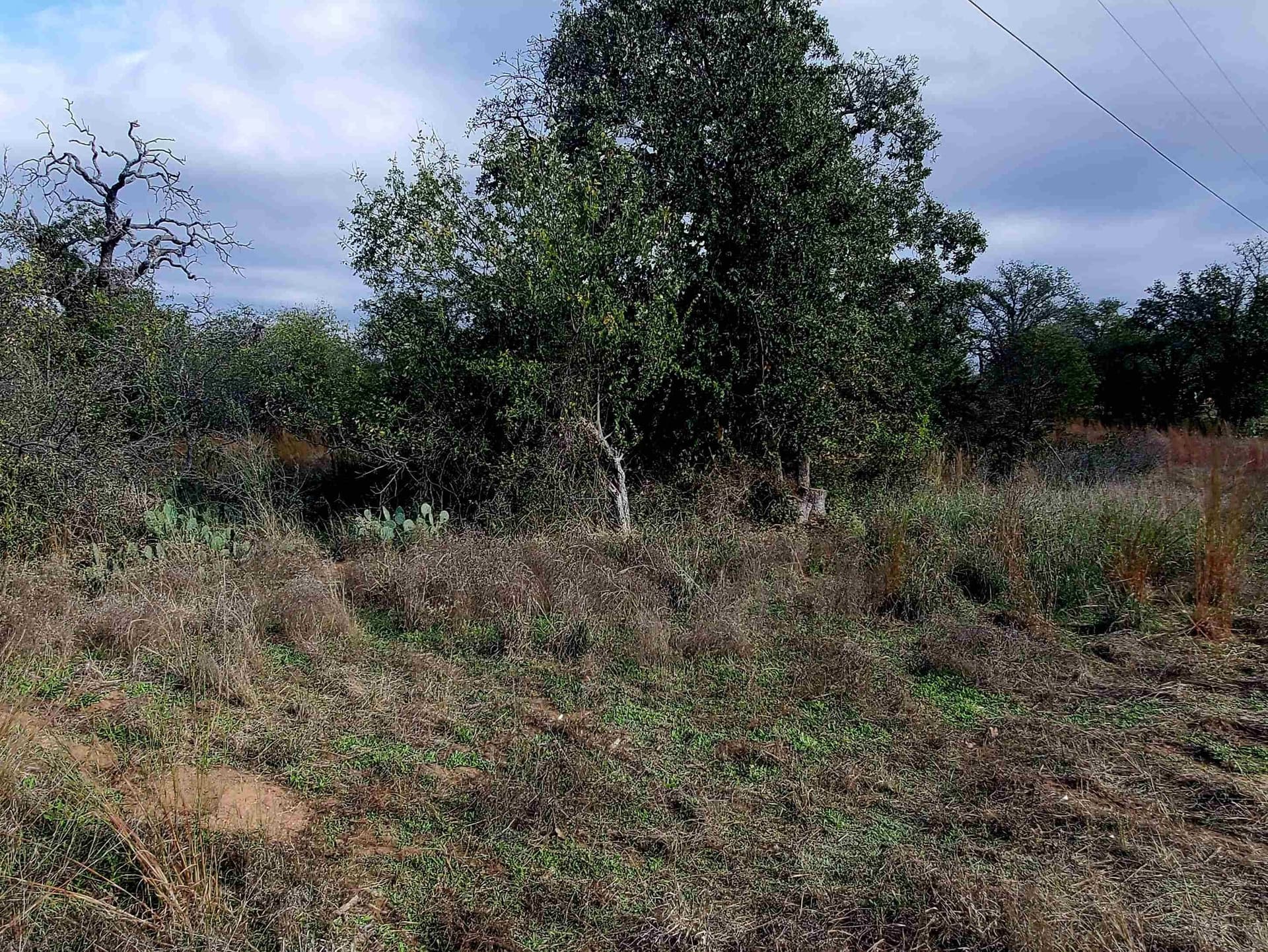 0.27 acres in Llano County featured view
