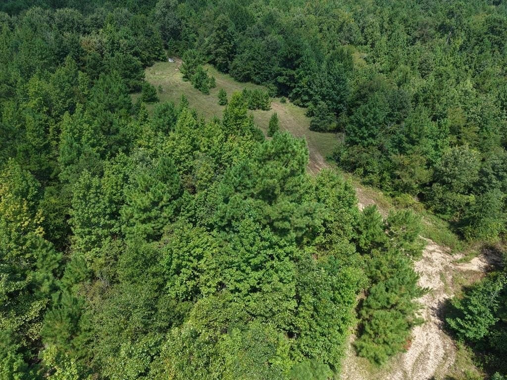 12 acres in ANDERSON County - photo 7