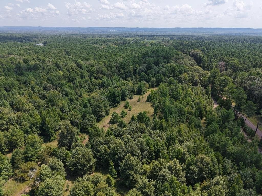 12 acres in ANDERSON County - photo 26