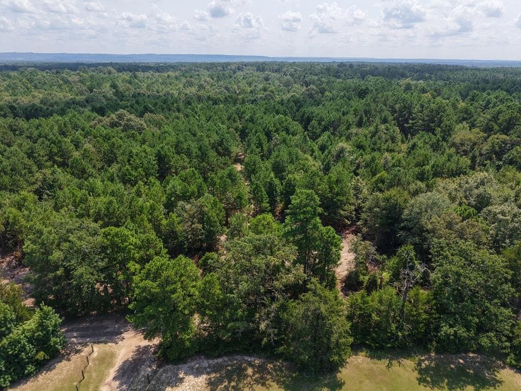 12 acres in ANDERSON County - photo 17