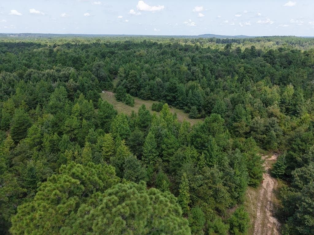 12 acres in ANDERSON County - photo 20