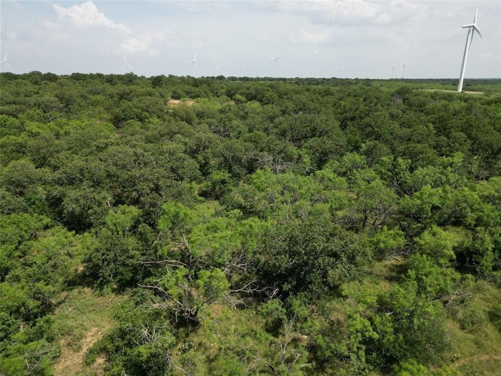 110 acres in Callahan County gallery image 3