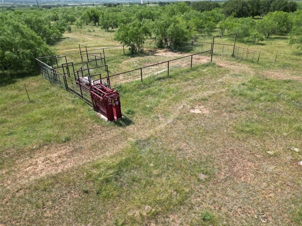 110 acres in Callahan County gallery image 2