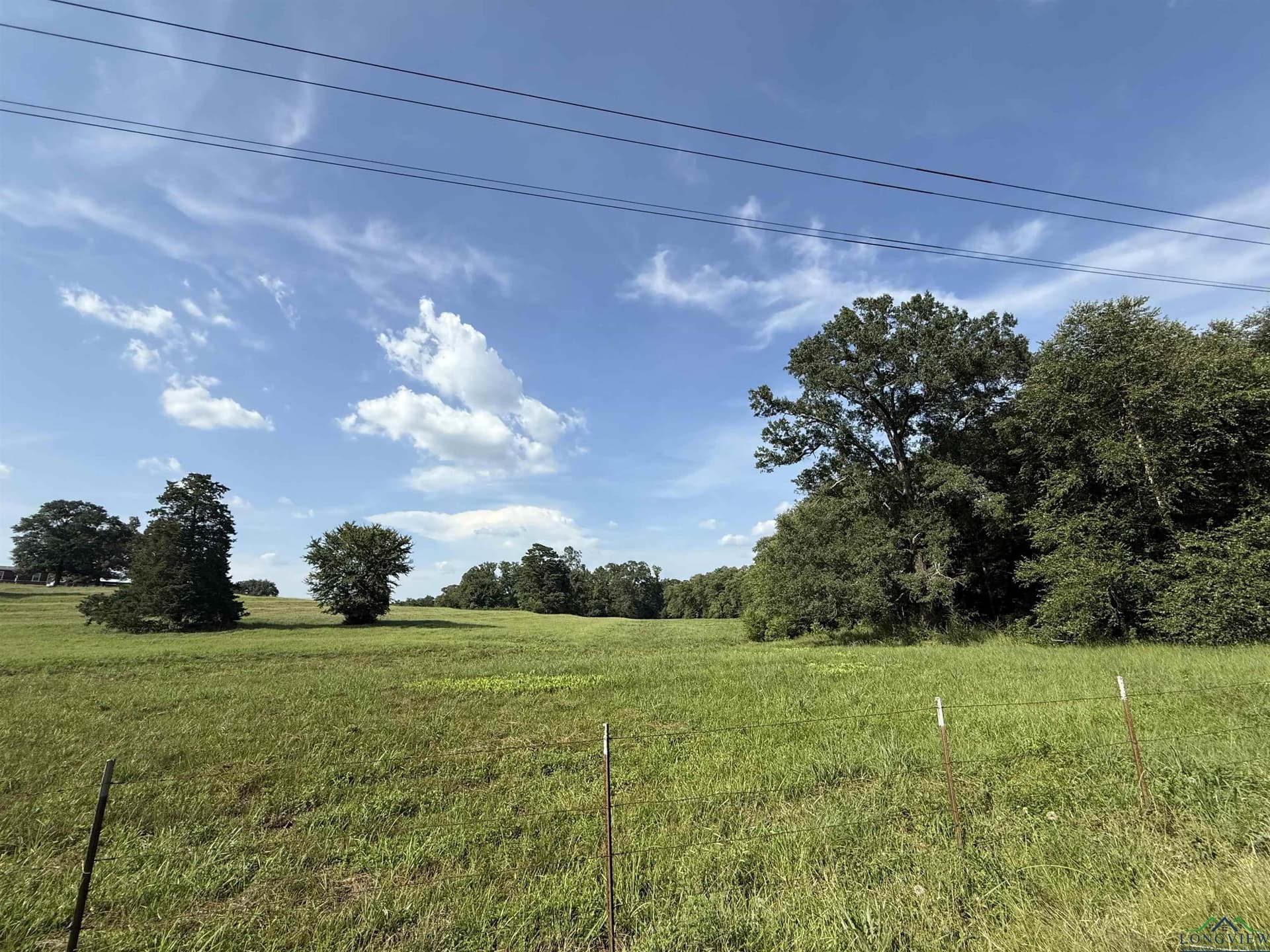 18 acres in Upshur County gallery image 3