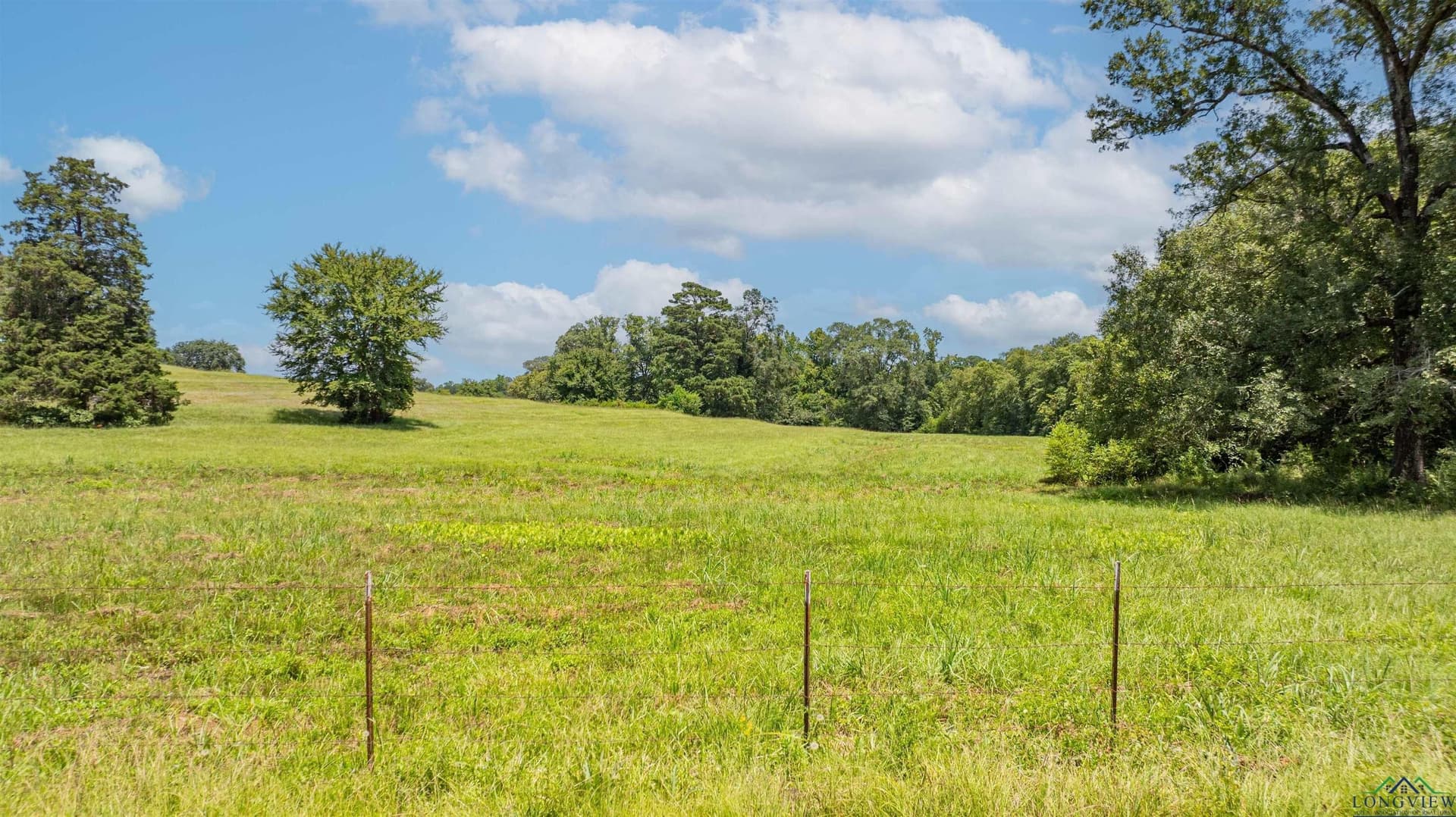 18 acres in Upshur County gallery image 4