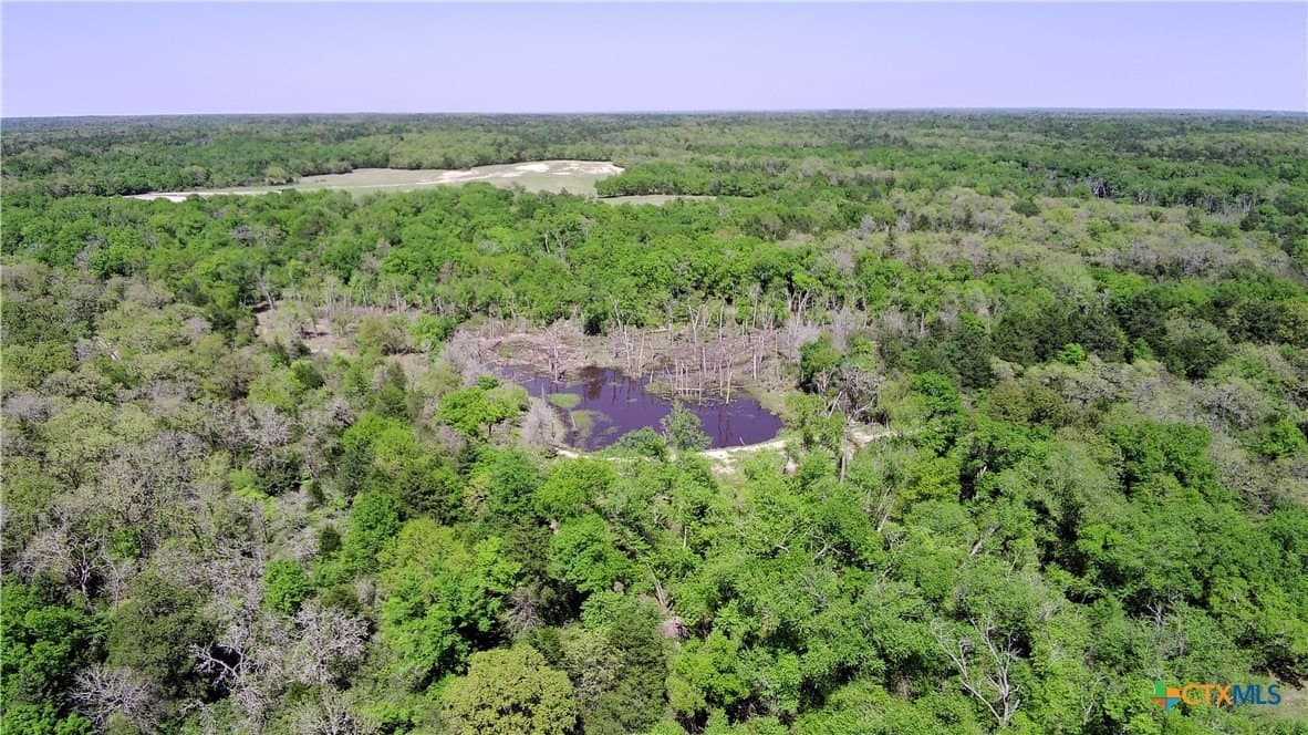 86.18 acres in Limestone County gallery image 3