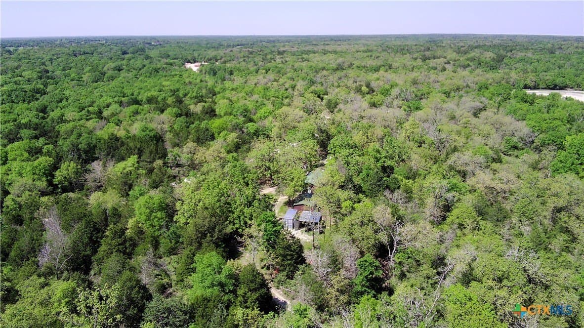 86.18 acres in Limestone County gallery image 4