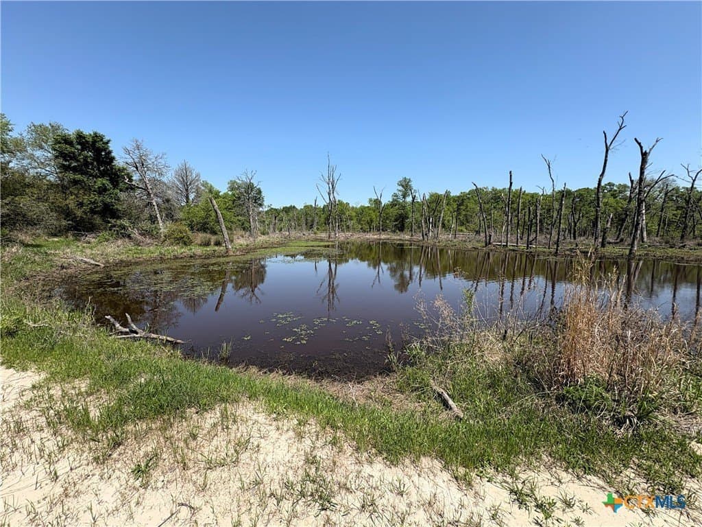 86.18 acres in Limestone County