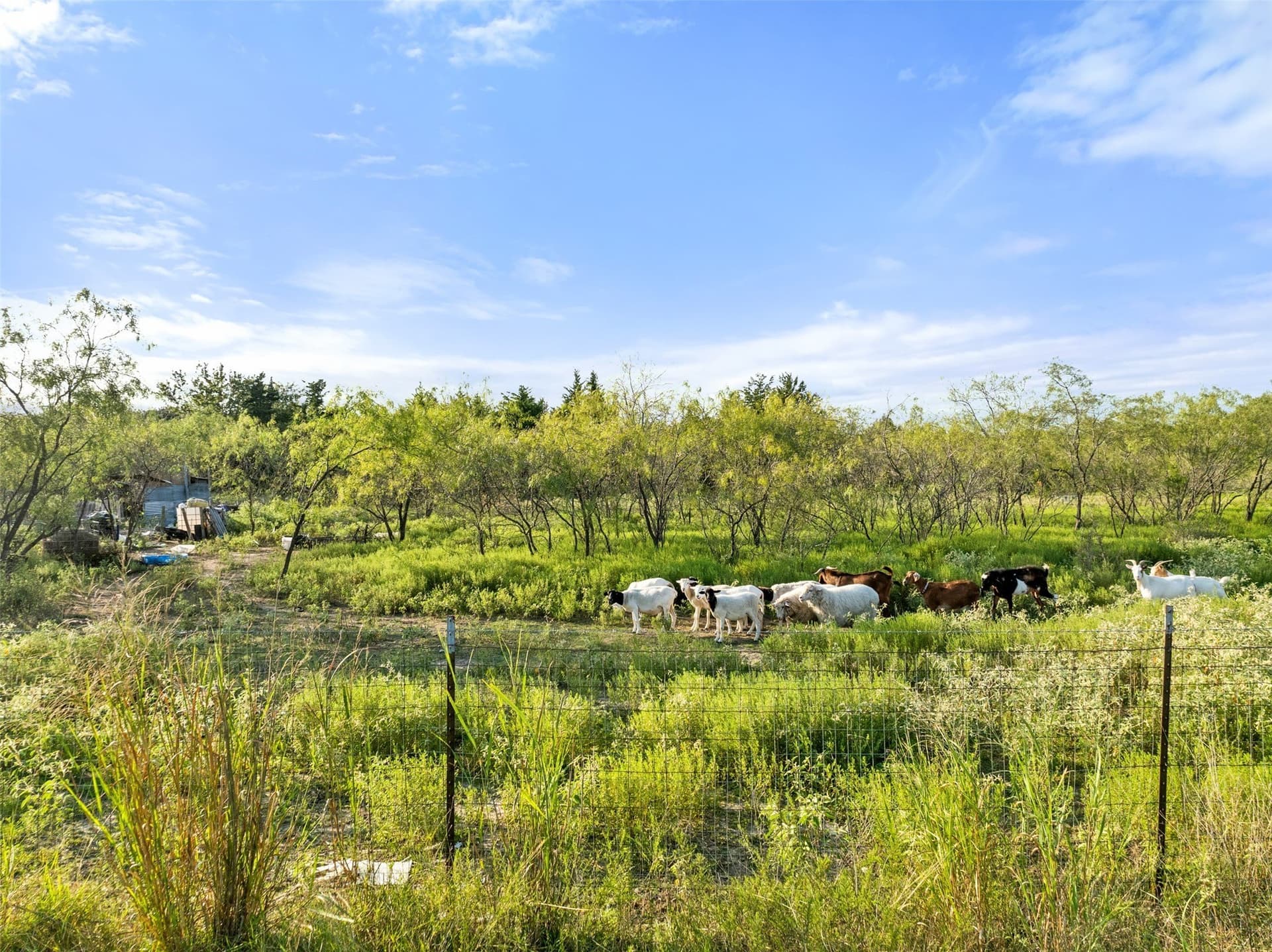 5.59 acres in Hunt County - photo 14