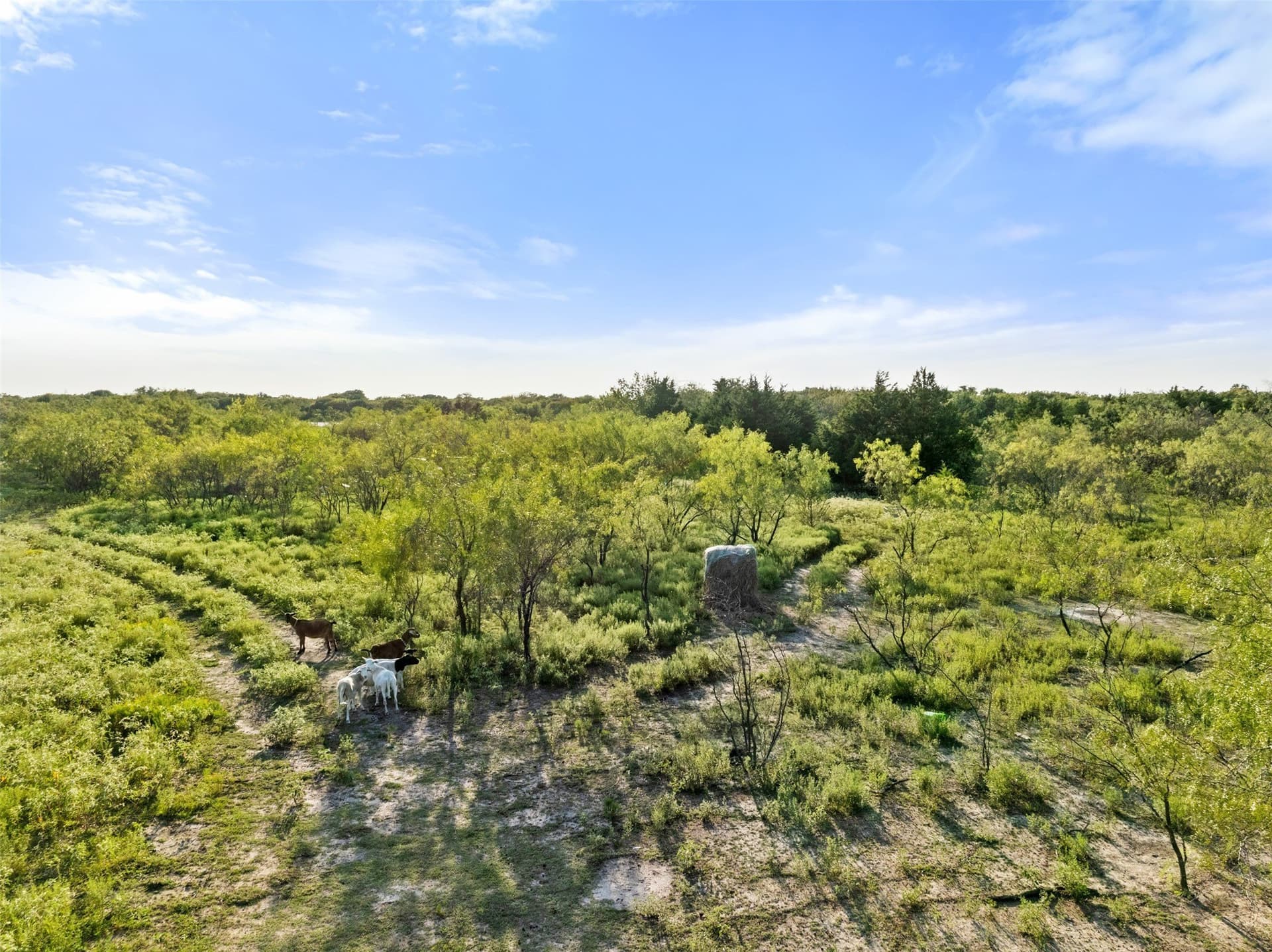 5.59 acres in Hunt County - photo 13