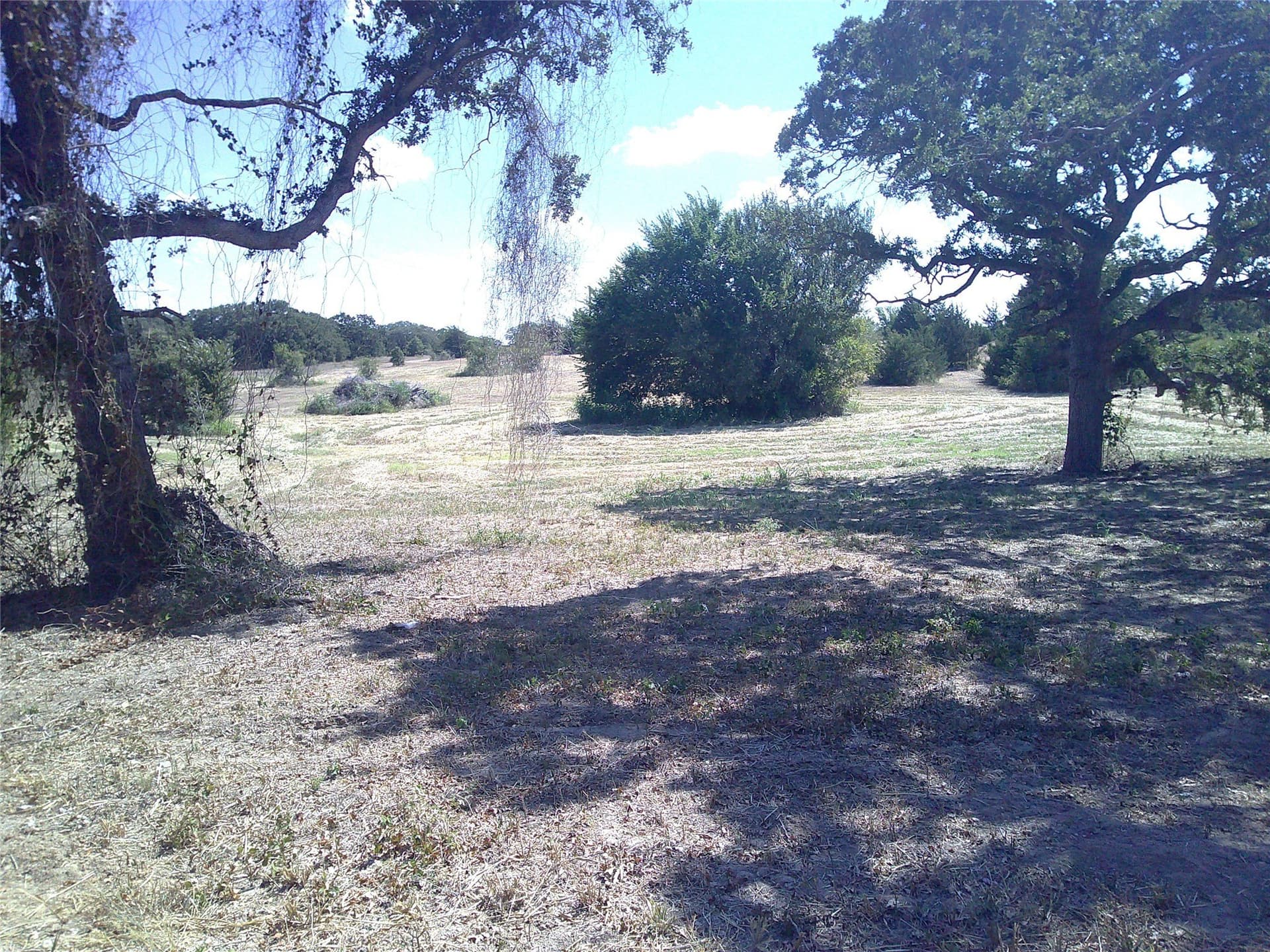3 acres in Montague County gallery image 3