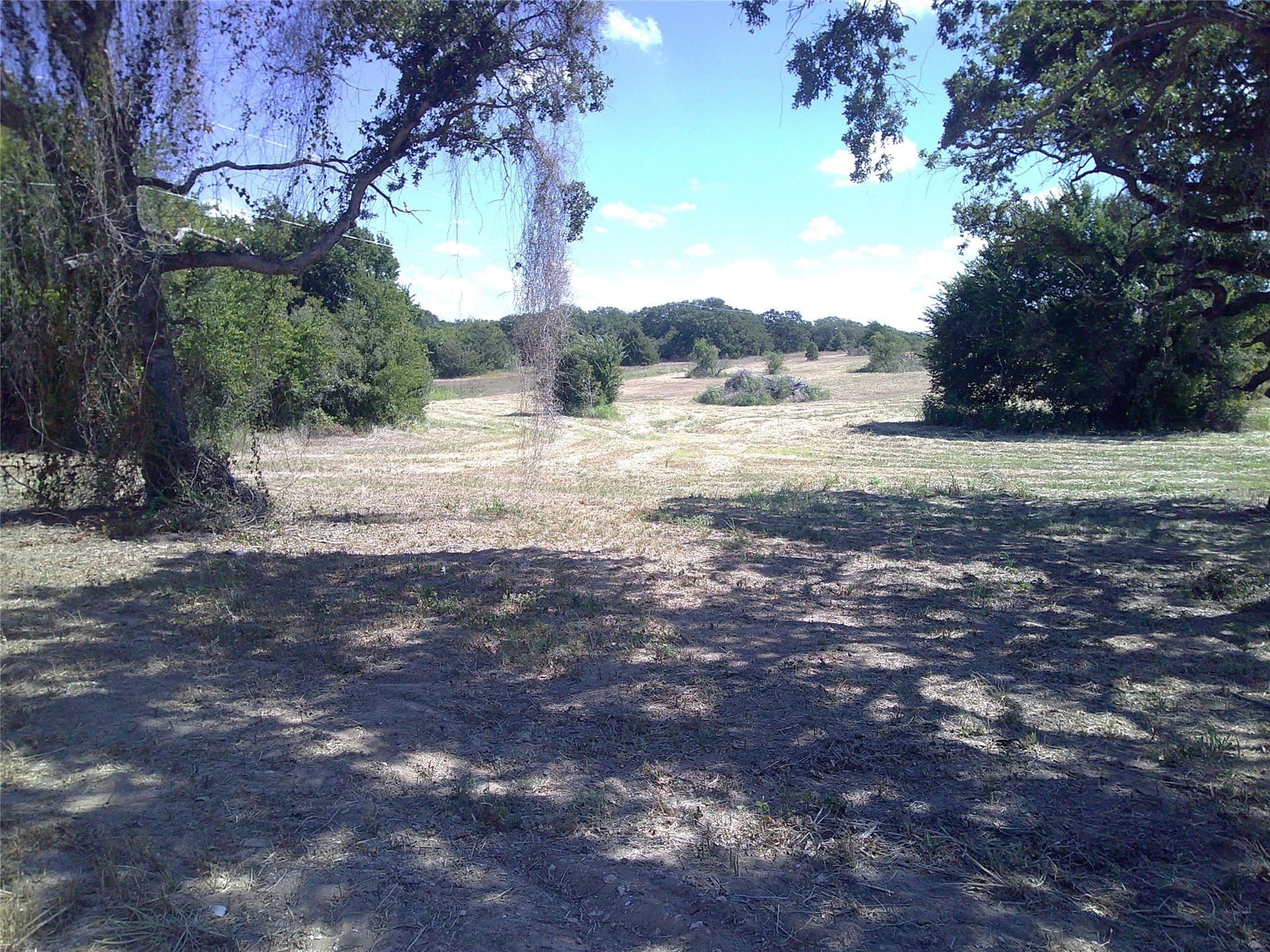 3 acres in Montague County gallery image 2