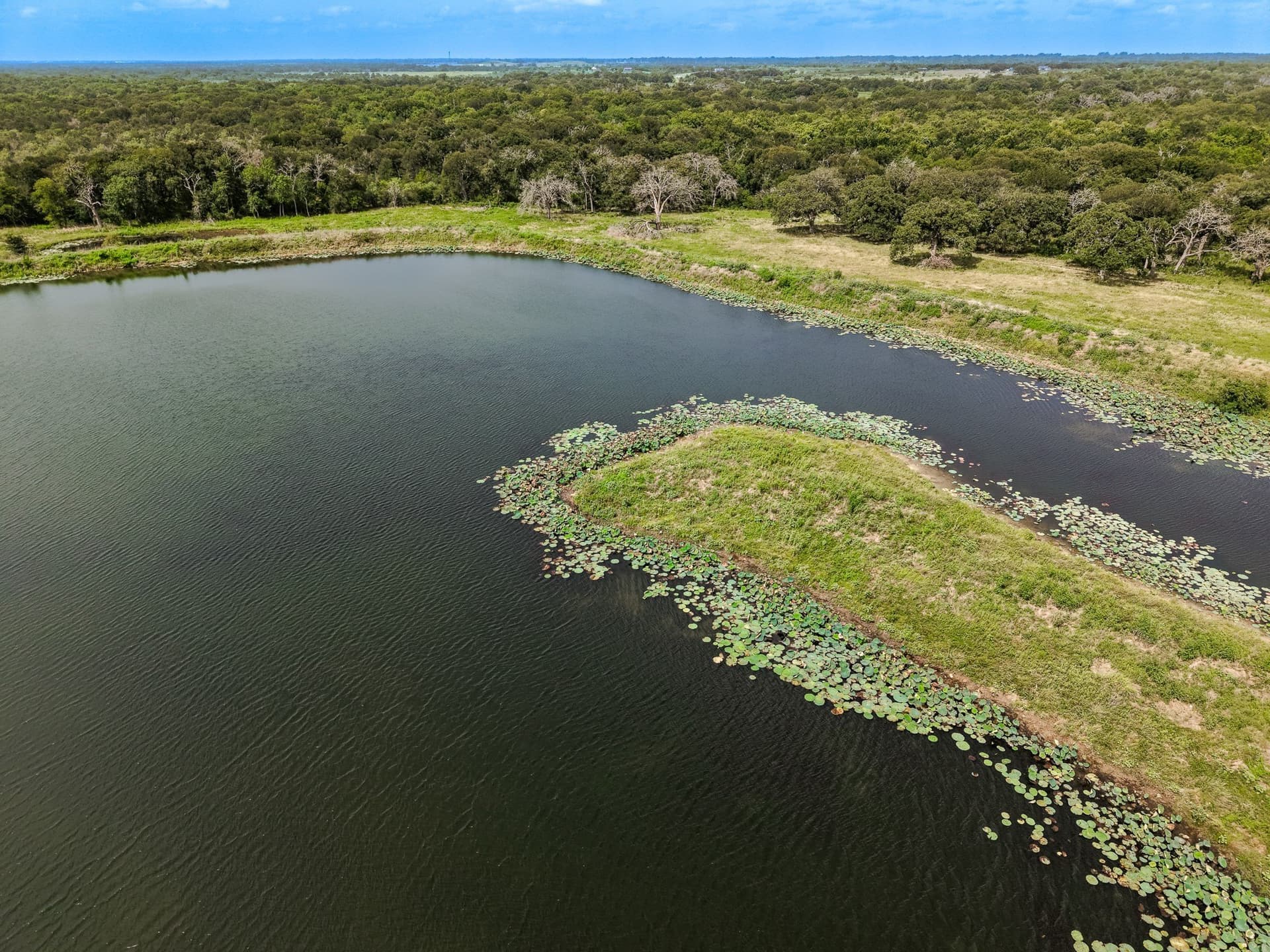 98.75 acres in Limestone County - photo 13