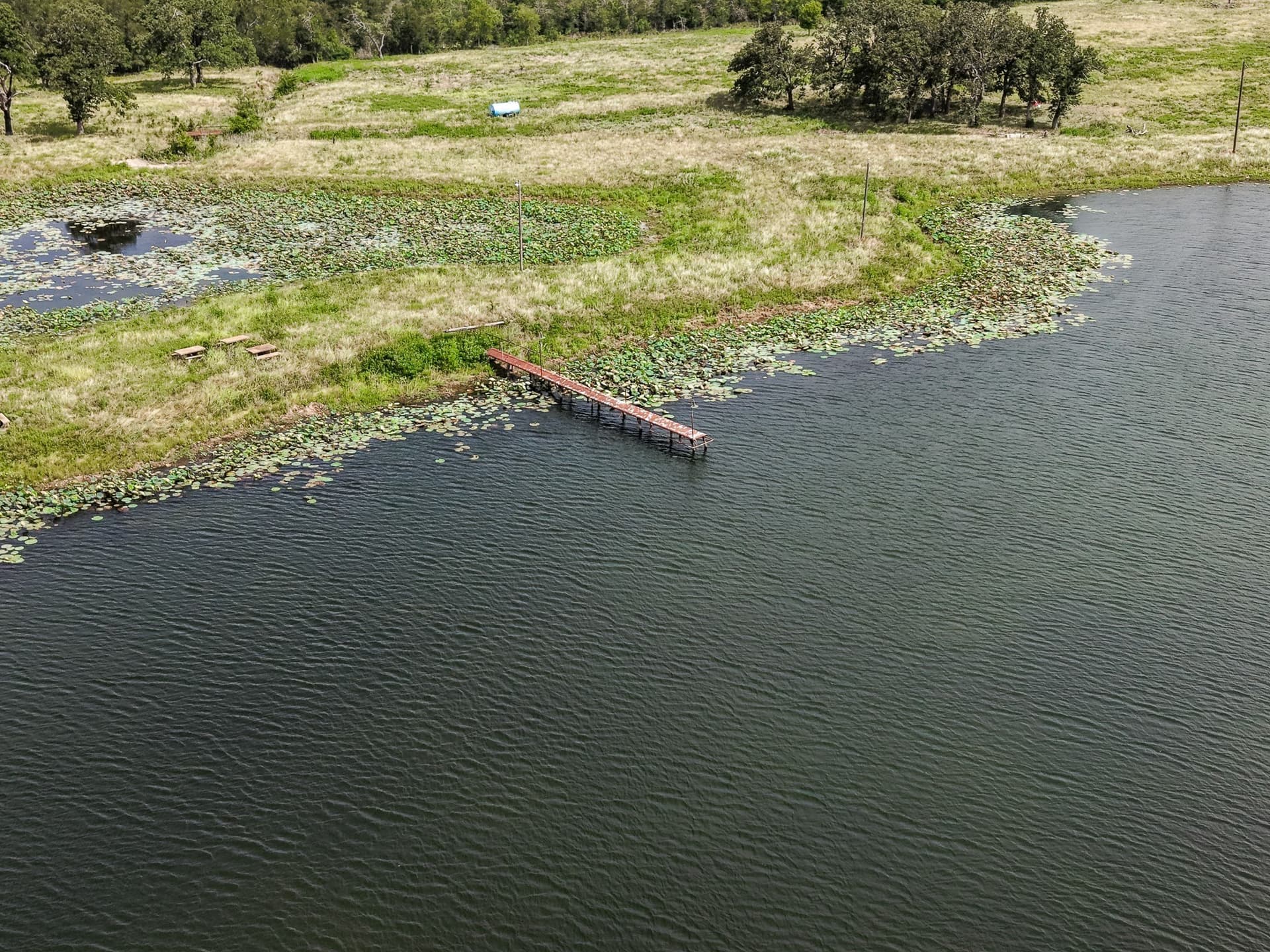 98.75 acres in Limestone County - photo 10