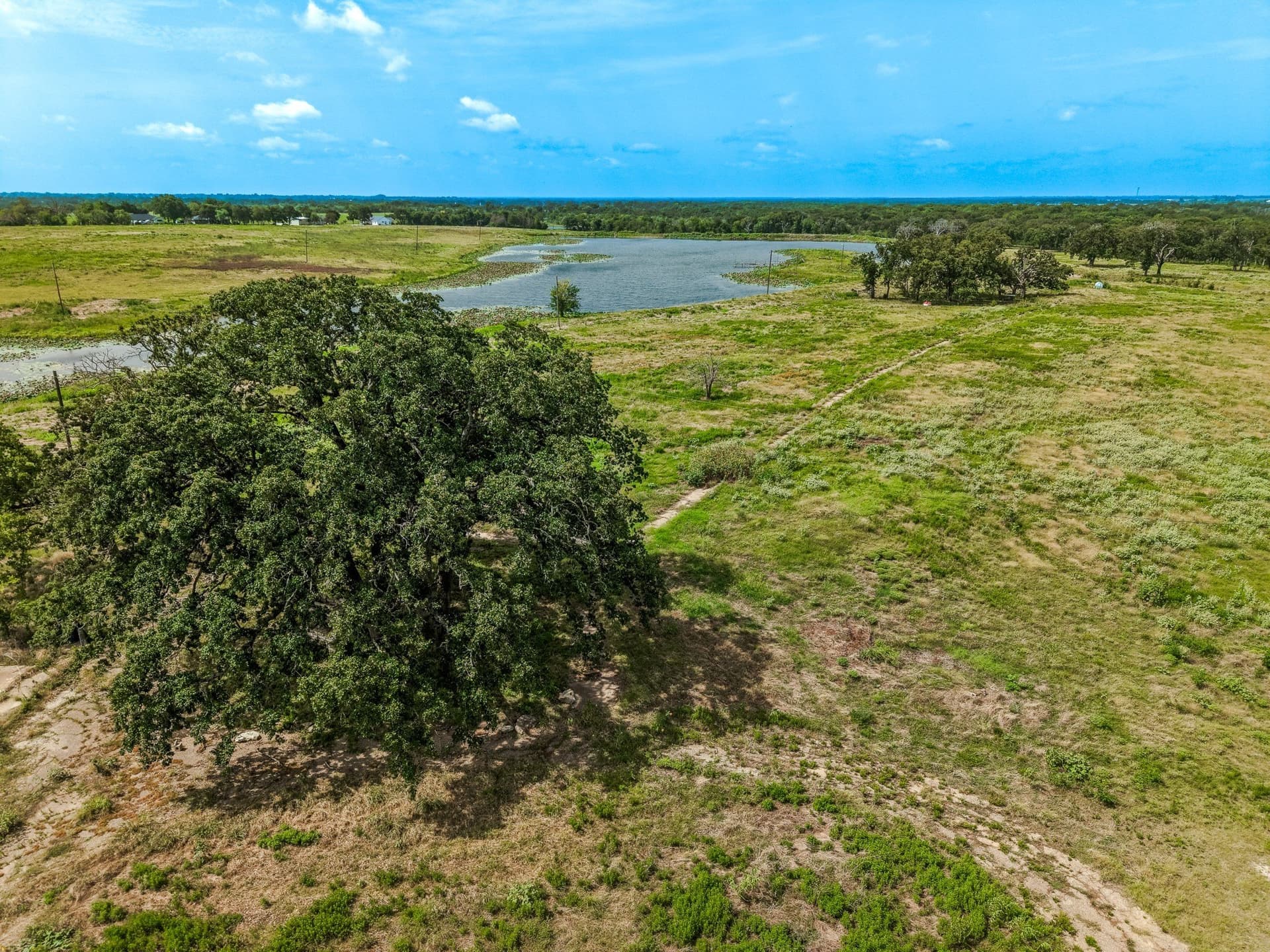 98.75 acres in Limestone County - photo 9