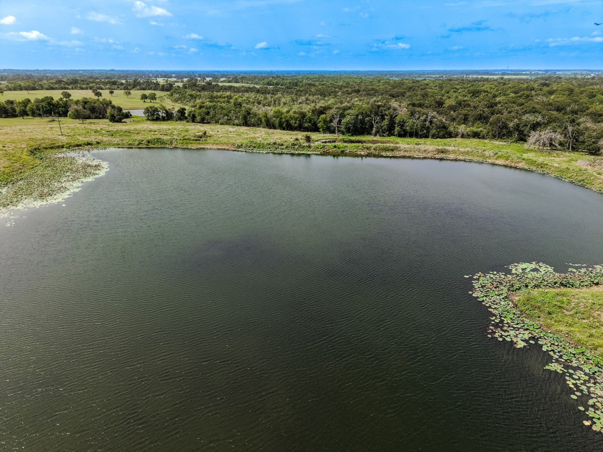 98.75 acres in Limestone County - photo 12