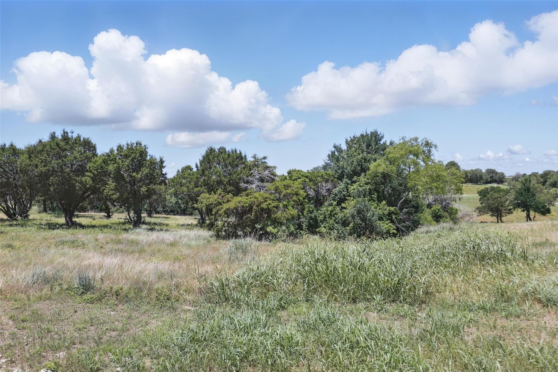 0.31 acres in Johnson County - photo 13