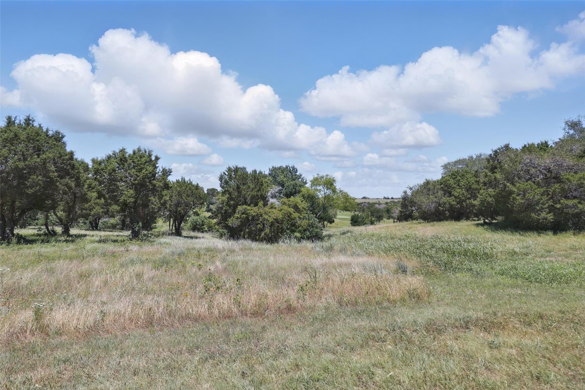 0.31 acres in Johnson County - photo 11