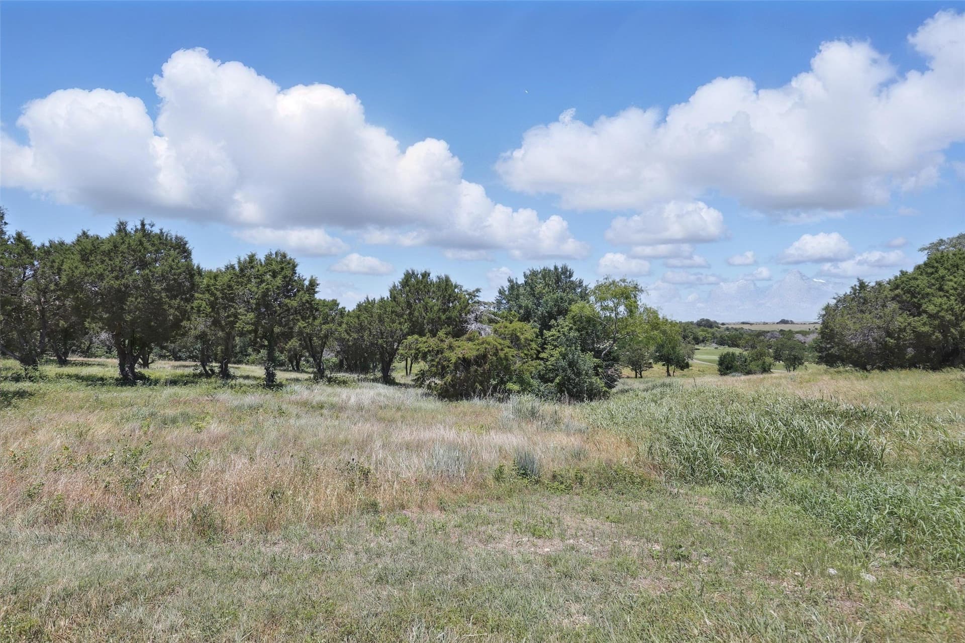 0.31 acres in Johnson County - photo 12