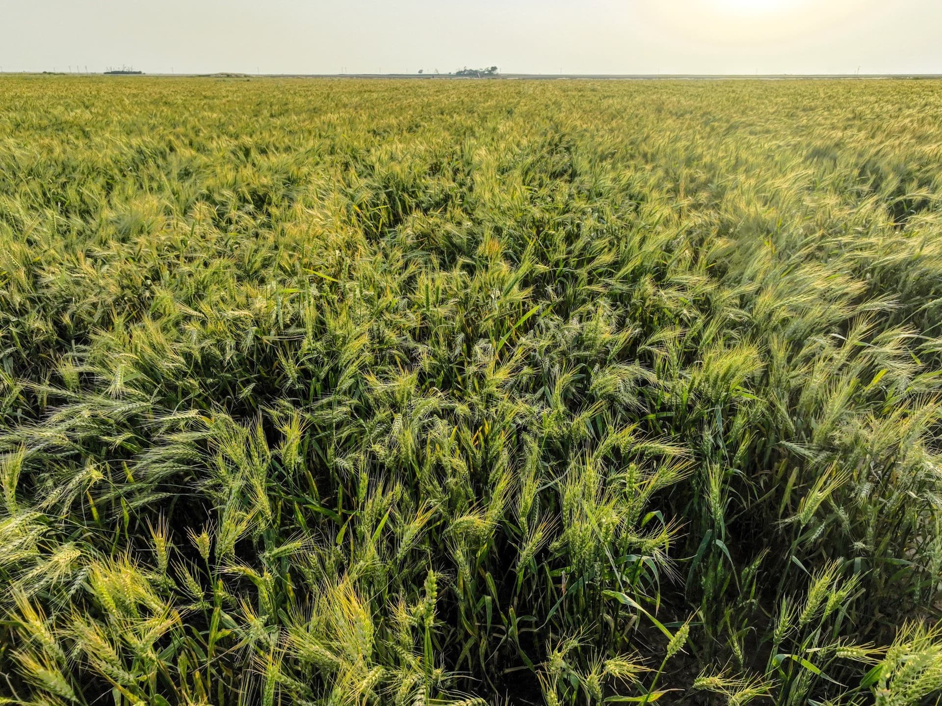 125 acres in Haskell County - photo 12