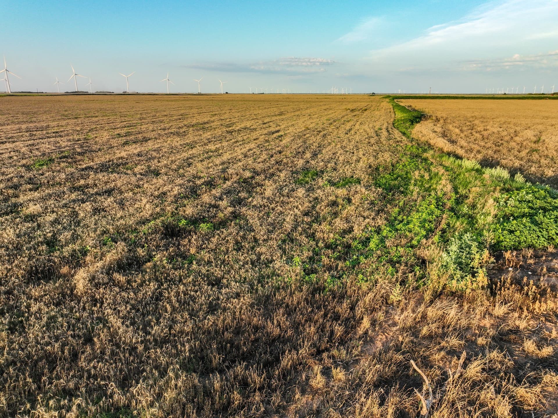 125 acres in Haskell County - photo 15