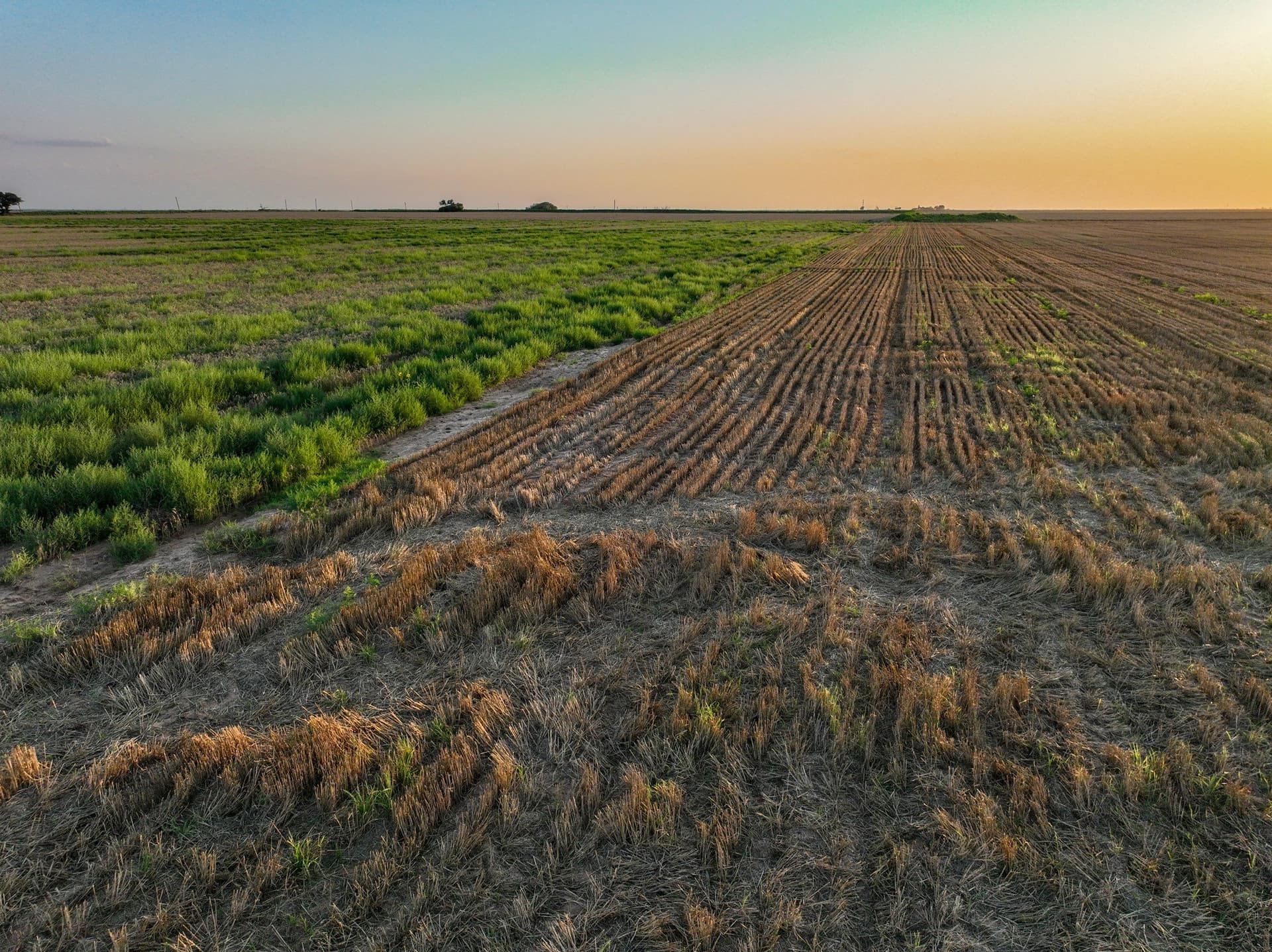 125 acres in Haskell County - photo 25