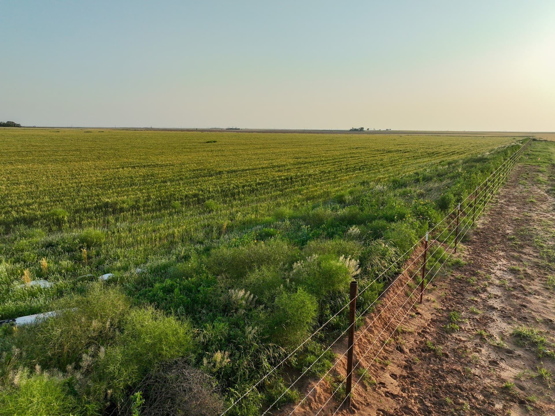 125 acres in Haskell County - photo 8
