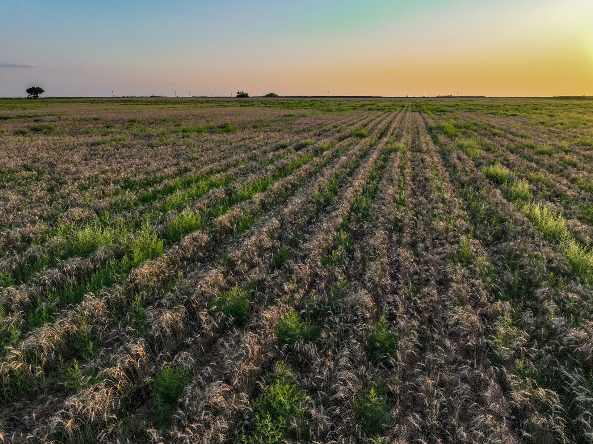 125 acres in Haskell County - photo 27