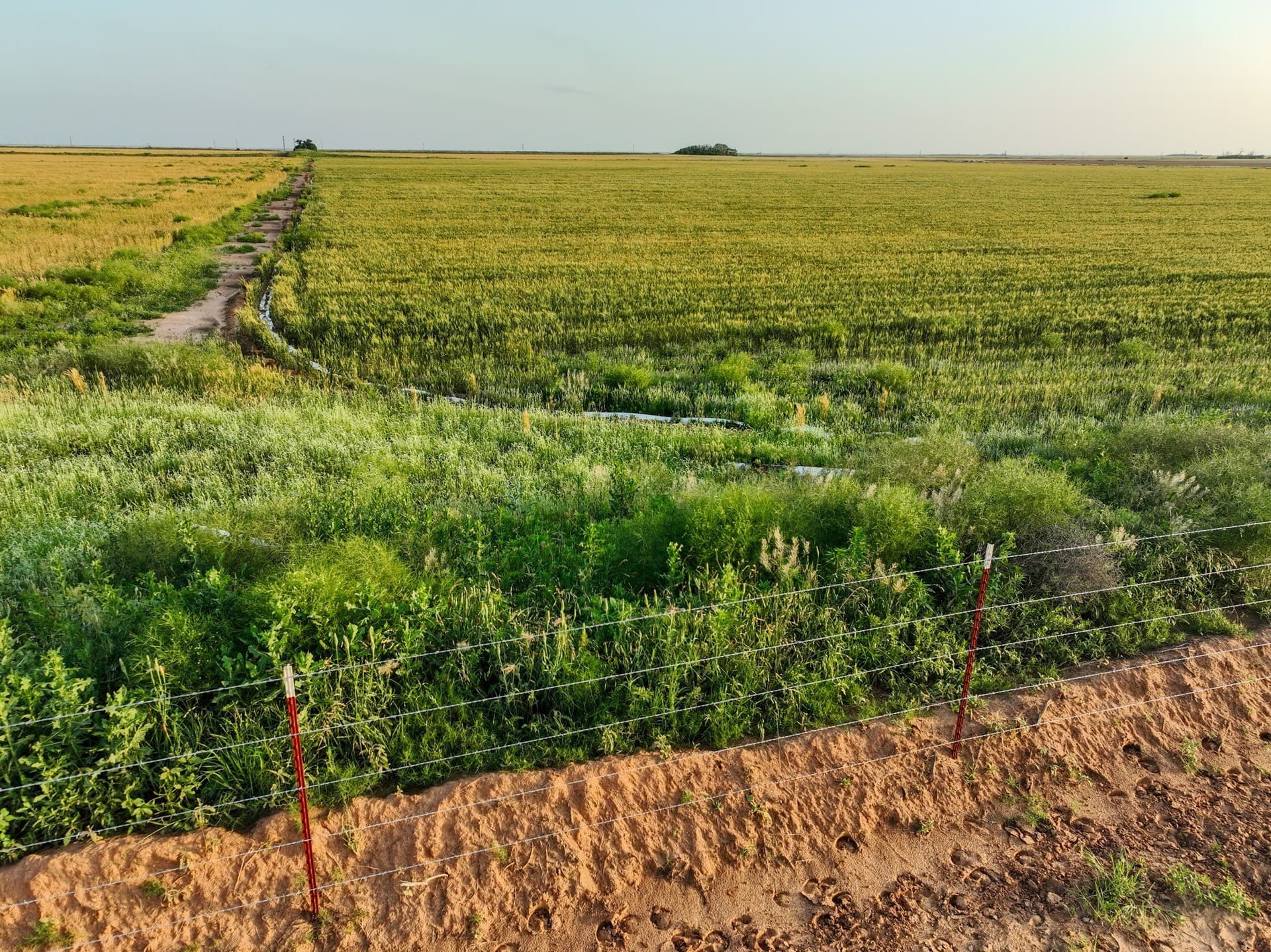125 acres in Haskell County - photo 9