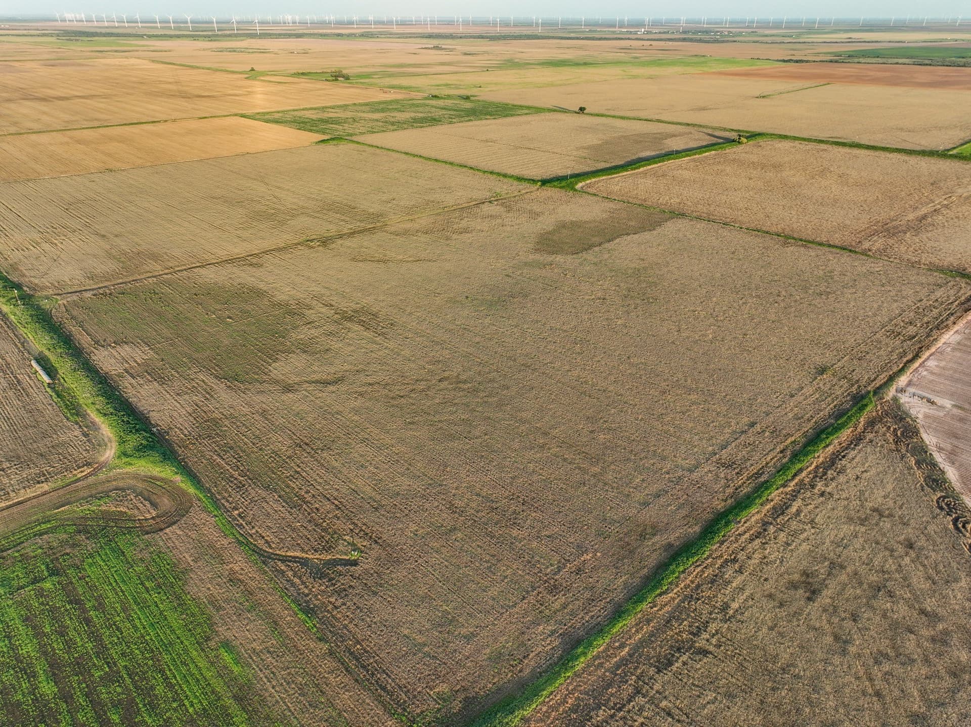 125 acres in Haskell County - photo 16
