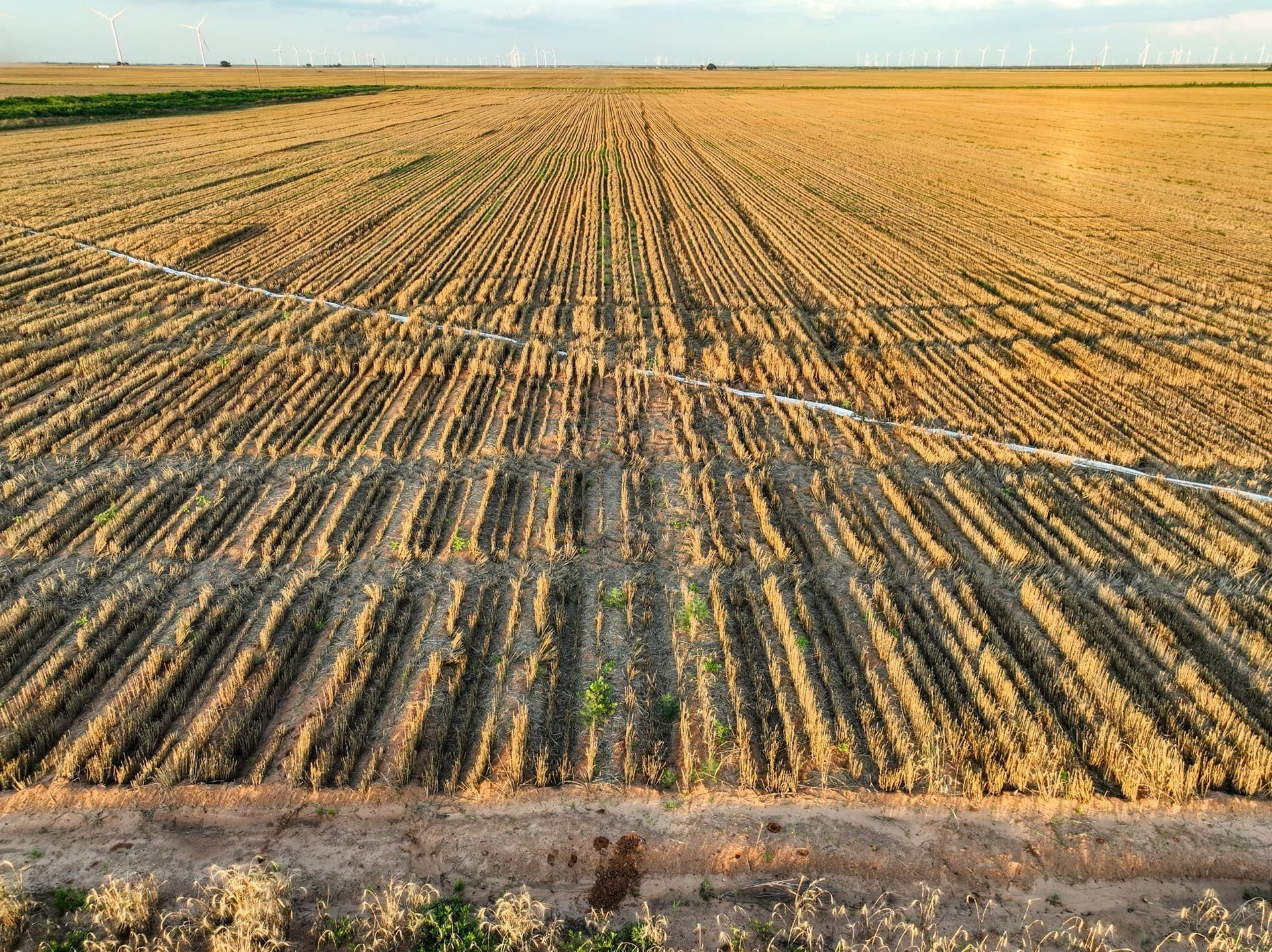 125 acres in Haskell County - photo 21