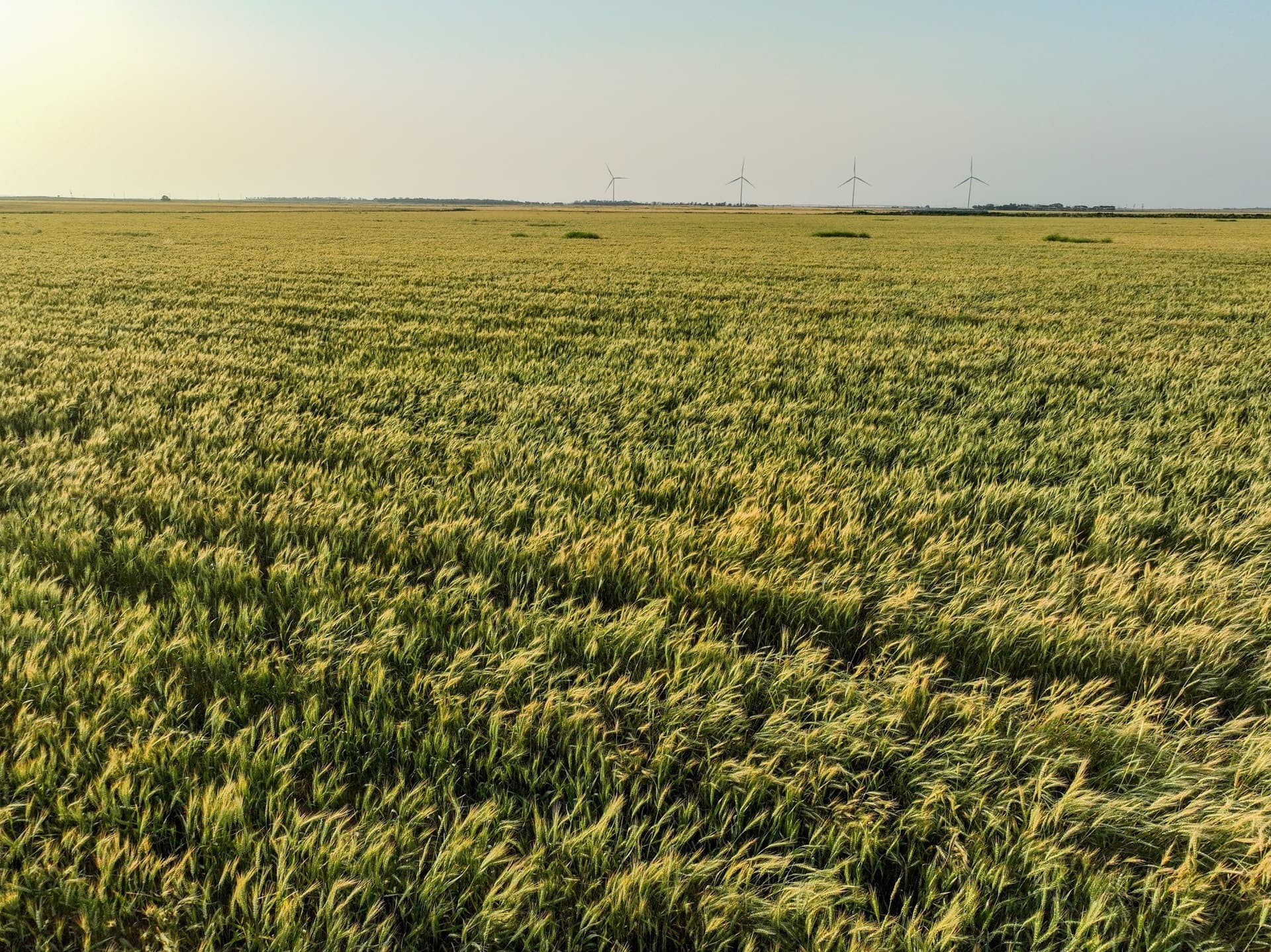 125 acres in Haskell County - photo 13