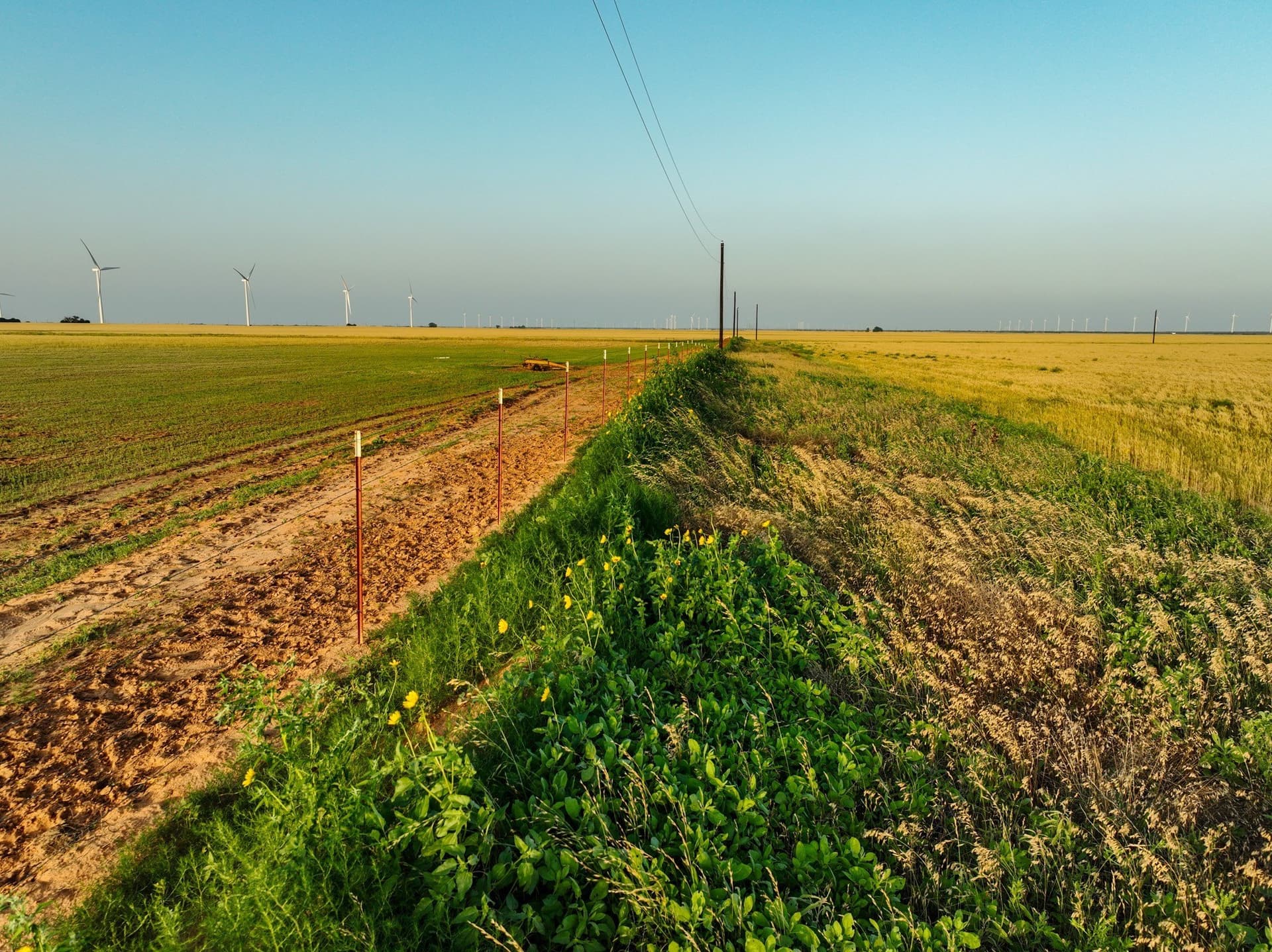 125 acres in Haskell County - photo 6