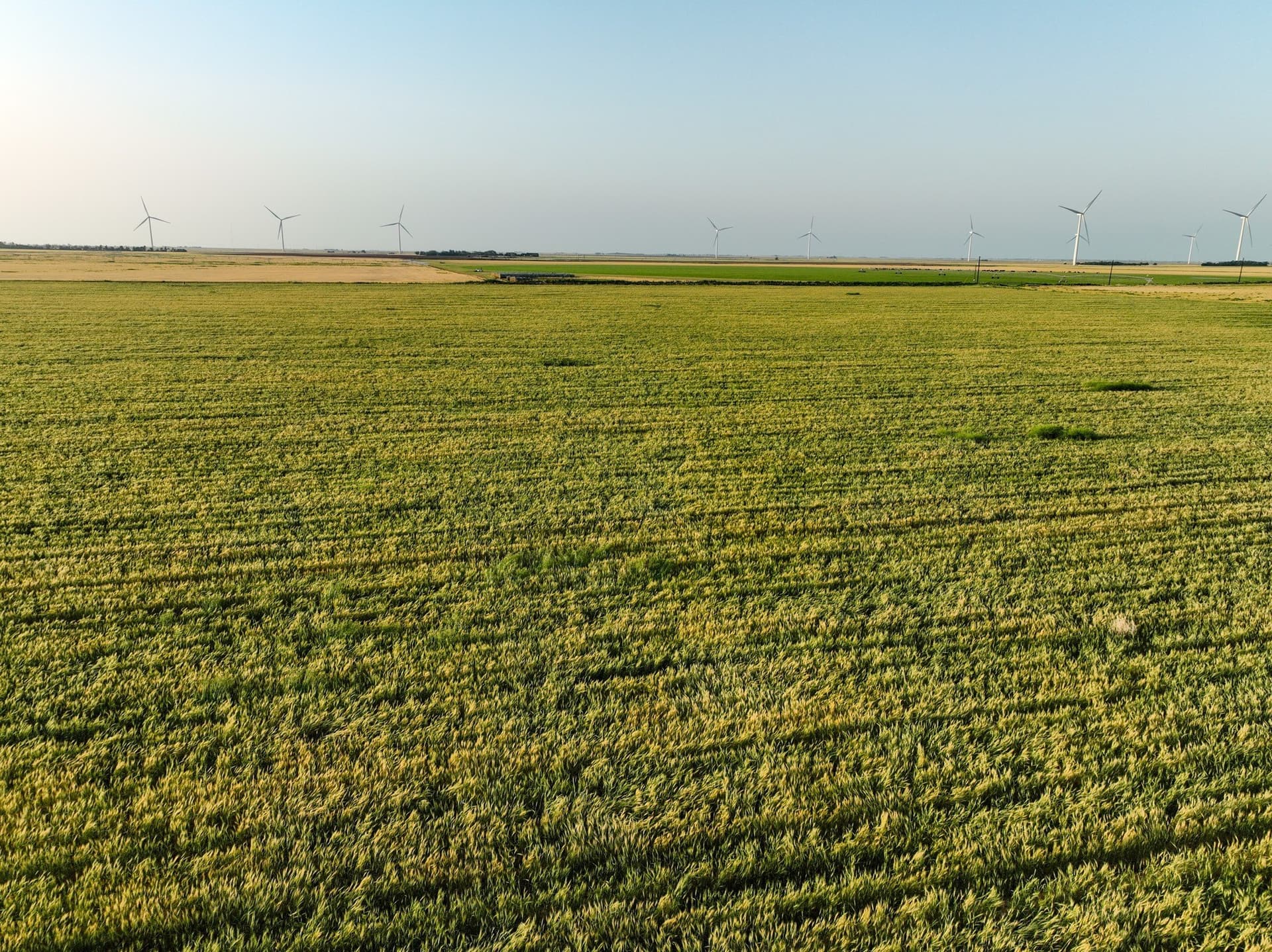 125 acres in Haskell County - photo 14