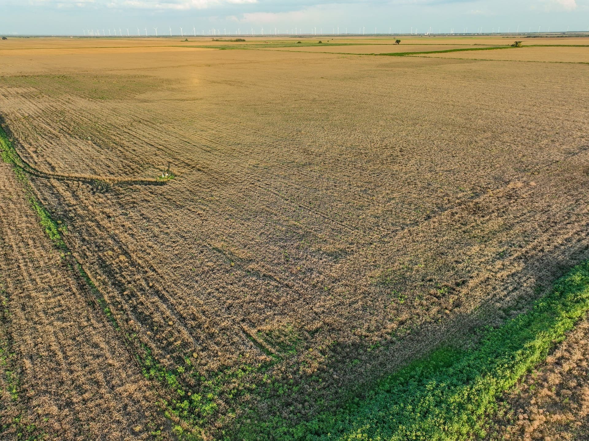 125 acres in Haskell County - photo 26