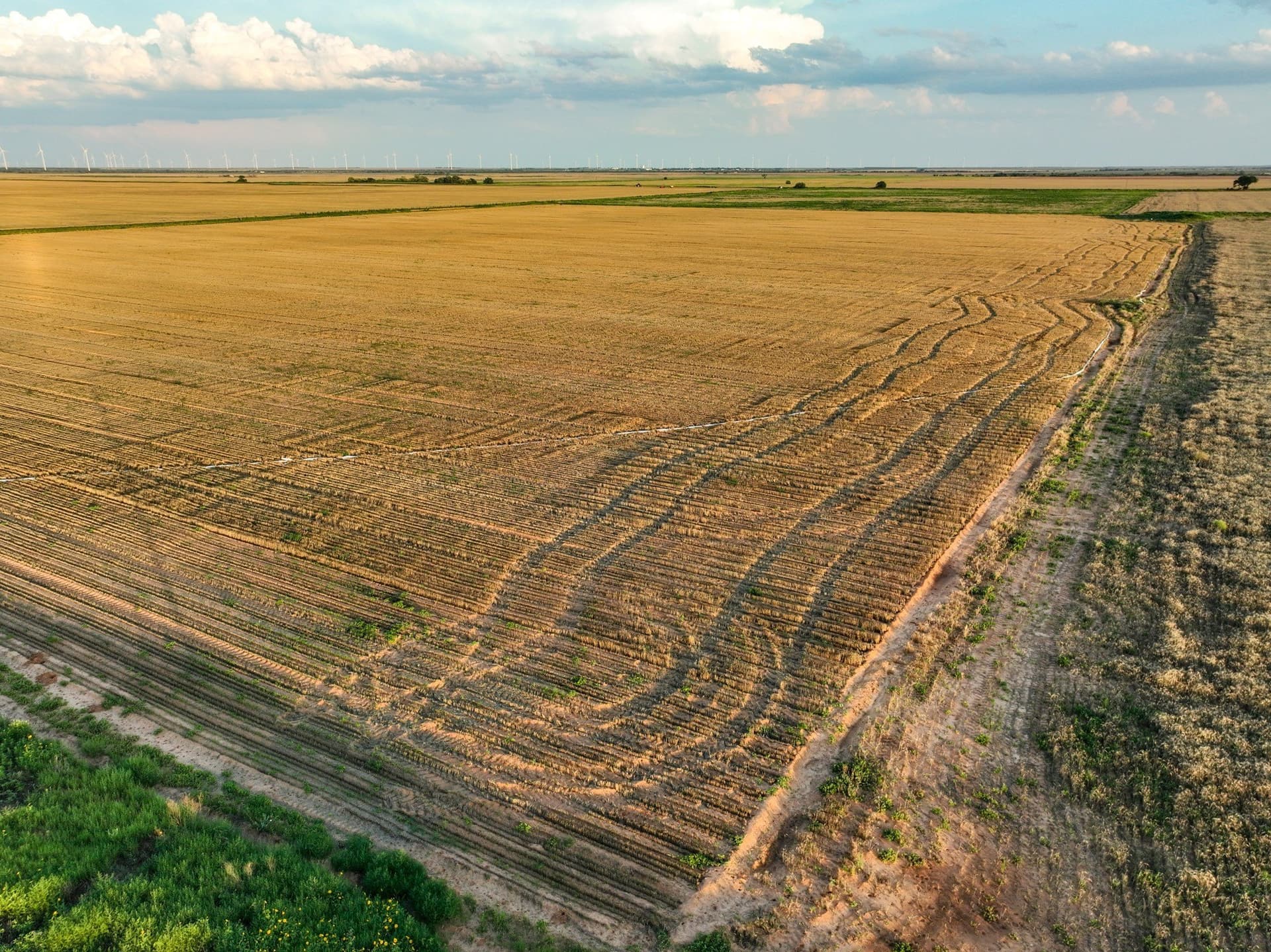 125 acres in Haskell County - photo 19