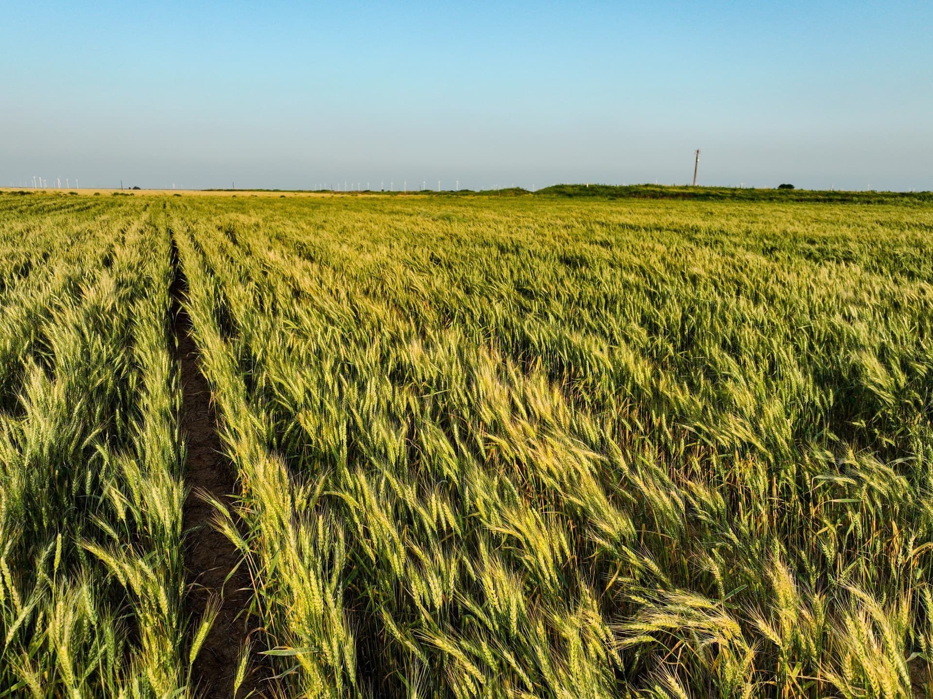 125 acres in Haskell County - photo 11